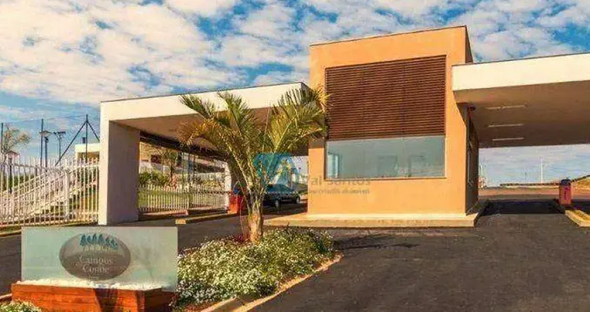 Terreno à venda, 310 m² por R$ 359.000 - Vila Salomé - Cambé/PR