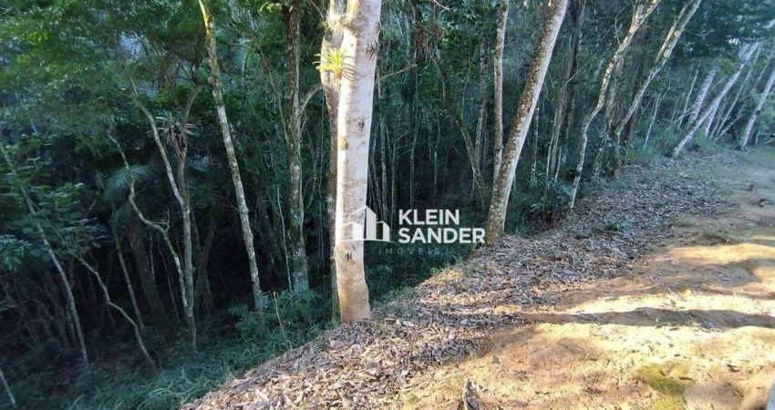 Terreno à venda, 658 m² por R$ 180.000,00 - Cônego - Nova Friburgo/RJ