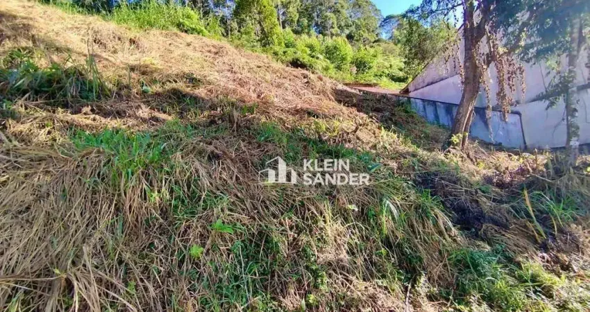 Terreno à venda, 410 m² por R$ 250.000,00 - Cônego - Nova Friburgo/RJ
