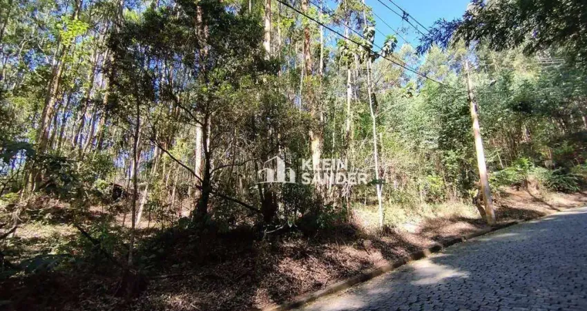 Terreno à venda, 3513 m² por R$ 435.000,00 - Cascatinha - Nova Friburgo/RJ