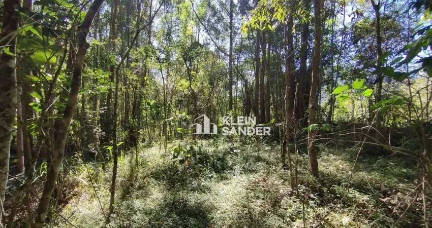 Terreno à venda, 3217 m² por R$ 415.000,00 - Cascatinha - Nova Friburgo/RJ