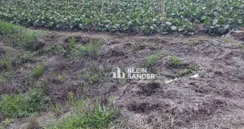 Terreno à venda, 10000 m² por r$ 450.000,00 - córrego d antas - nova friburgo/rj