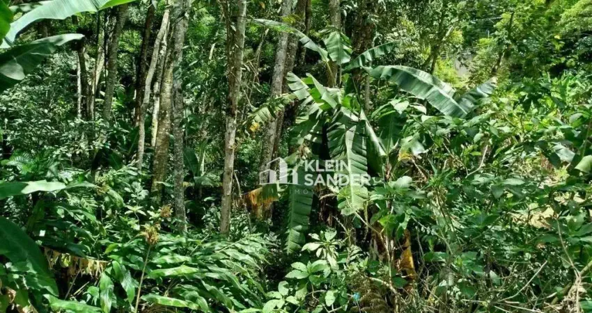 Terreno à venda, 1870 m² por R$ 250.000,00 - Ponte da Saudade - Nova Friburgo/RJ