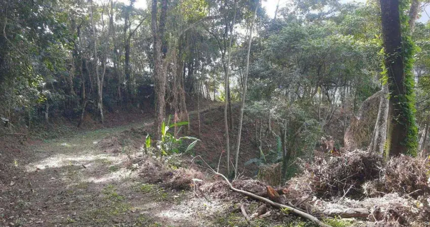 Terreno à venda, 7400 m² por R$ 1.500.000,00 - Cônego - Nova Friburgo/RJ