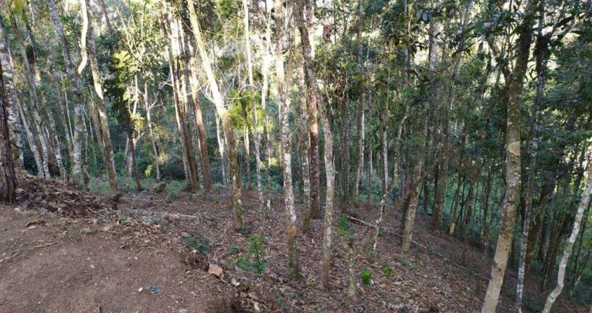 Terreno à venda, 404 m² por R$ 250.000,00 - Cônego - Nova Friburgo/RJ