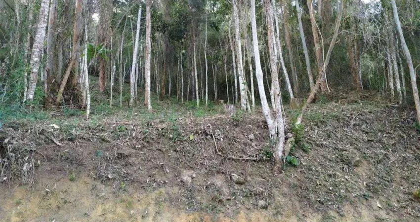 Terreno à venda, 792 m² por R$ 350.000,00 - Cônego - Nova Friburgo/RJ