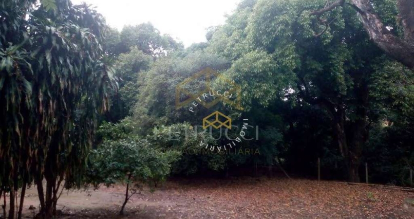 Chácara com 3 dormitórios à venda, 300 m² por R$ 1.750.000,00 - Parque Universitário de Viracopos - Campinas/SP