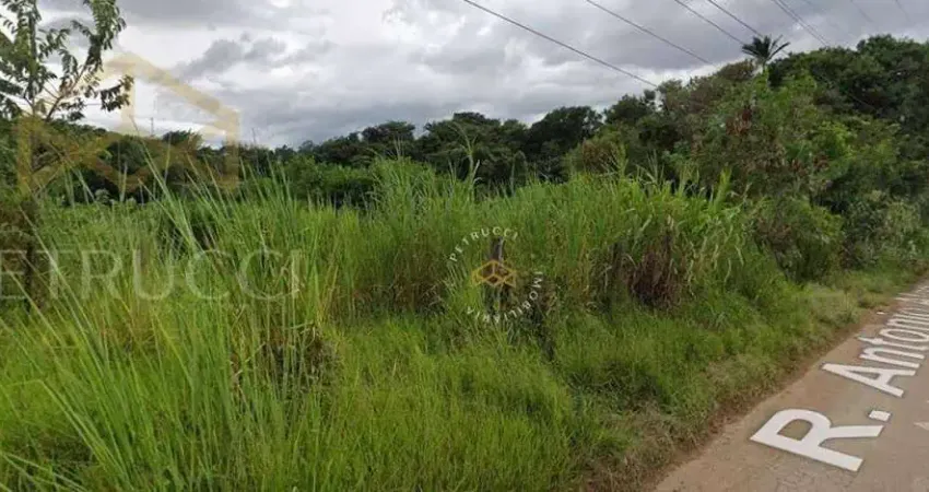 Área Comercial à venda, Vila Saltinho, Campinas - AR0055.