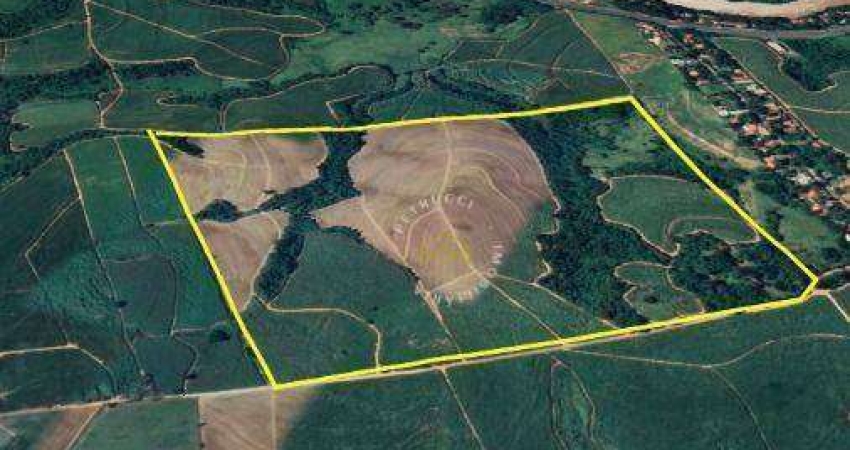 Área à venda, 400000 m² por R$ 24.000.000,00 - Vila Sônia - Piracicaba/SP