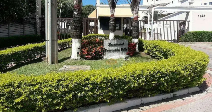 Cobertura Residencial à venda, Jardim Nova Europa, Campinas - CO0234.
