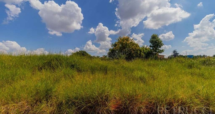 Terreno à venda, 365 m² por R$ 350.000,00 - Jardim dos Calegaris - Paulínia/SP