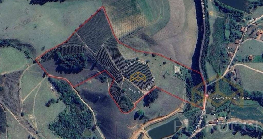 Sítio com 2 dormitórios à venda, 193600 m² por R$ 2.200.000,00 - Bairro Servinho - Ouro Fino/MG