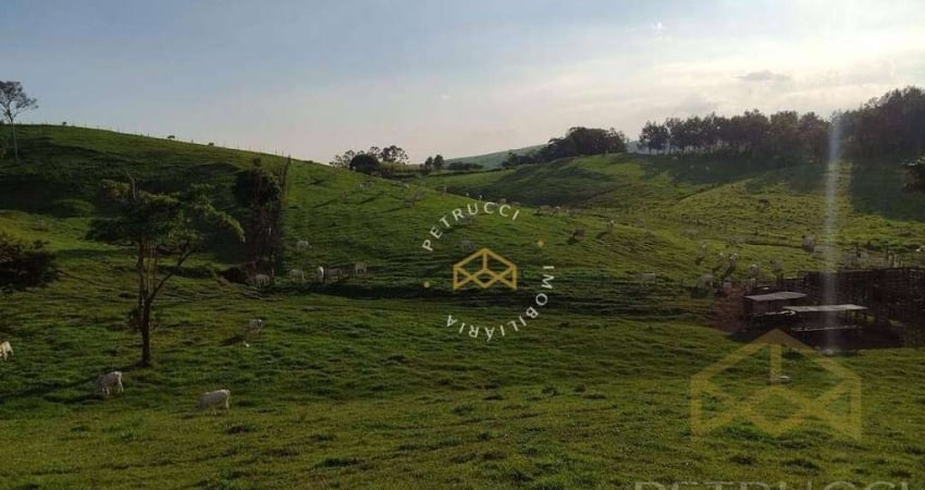 Sítio com 3 dormitórios à venda, 242000 m² por R$ 4.000.000,00 - Chácara Primavera - Jaguariúna/SP