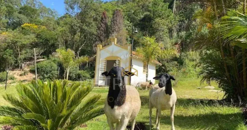 Fazenda com 7 dormitórios à venda, 170000 m² por R$ 5.600.000,00 - Quebec Ville - São Roque/SP