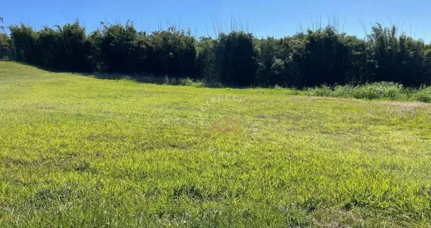 Terreno à venda, 800 m² por R$ 2.200.000,00 - Swiss Park - Campinas/SP