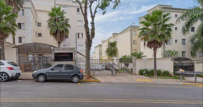Apartamento com 3 dormitórios à venda, 63 m² - Vila Industrial - Campinas/SP