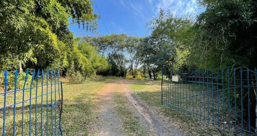 Terreno à venda na Estrada da Coudelaria, 2000, Vila Ipê, Campinas