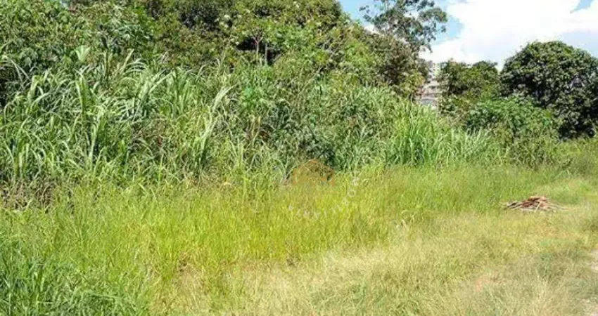 Terreno à venda, 20986 m² por R$ 800.000,00 - Chácara Alpina - Valinhos/SP