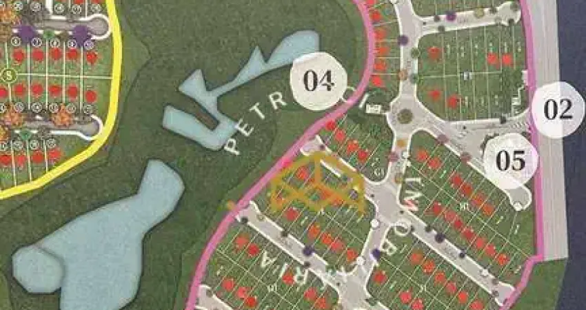 Terreno à venda, 386 m² por R$ 670.000,00 - Loteamento Alphaville Campinas - Campinas/SP