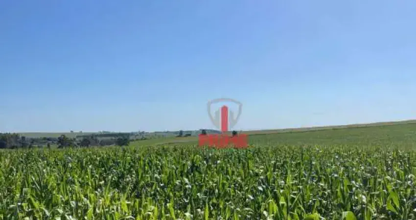 Fazenda à venda em Alvorada do Sul no Paraná. Com 95 alqueires de plantio, barracão, sede e casa para funcionários.