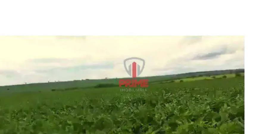 Fazenda à venda em Nova Alvorada do Sul no Mato Grosso do Sul.
