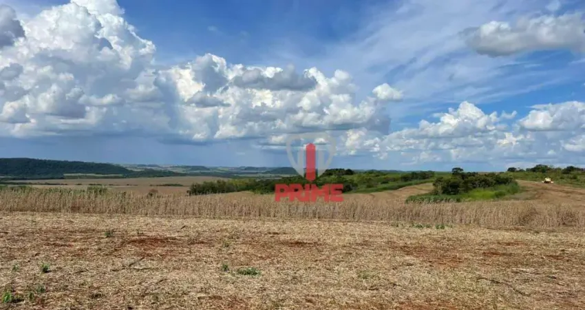 Fazenda à venda em Uraí no Paraná. Com 88 alqueires sendo 35 alqueires de plantio, 10 alqueires de pasto, 2 barracões, 2 casas de funcionários, 1 mang