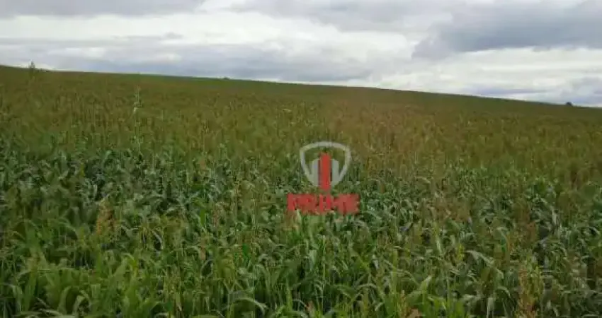 Fazenda à venda em Porecatu no Paraná. Com 40 alqueires, sendo 37 alqueires plantado num quadro somente, topografia plana. Valor da venda R$ 12.000