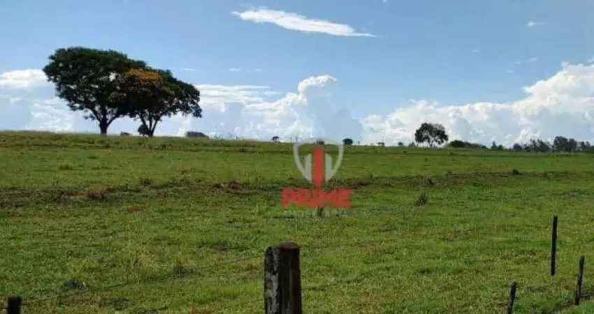 Fazenda à venda em Santa Isabel do Ivaí no Paraná. Com estrutura completa, 30 repartições de pasto, boa água, 8 Km da cidade, 3 Km de estrada de chão