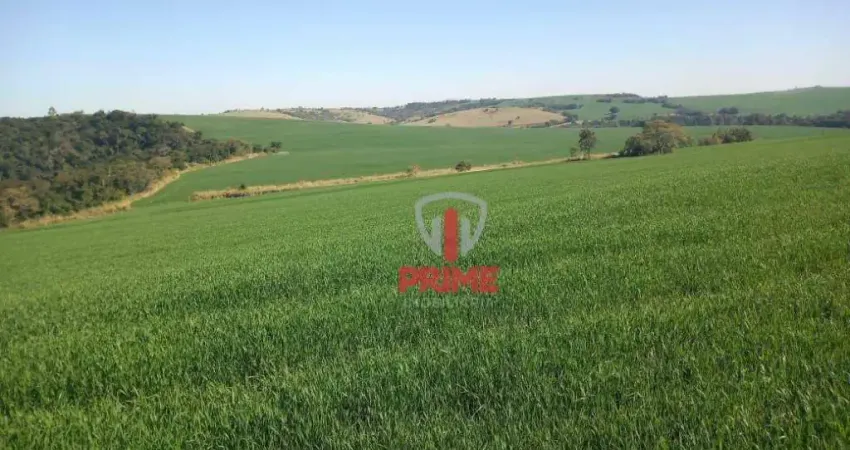 Fazenda à venda em Nova Fátima no Paraná. Com 55 alqueires, sendo 50 alqueires de plantio, terra roxa.   Entrada de 50% + 2 pagamentos.