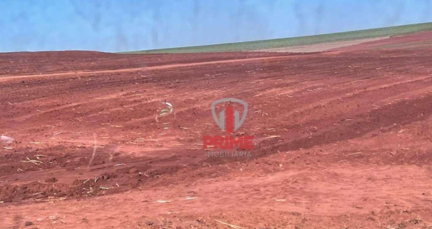 Sítio à venda em Bela Vista do Paraíso no Paraná. Com 22 alqueires, 100% de aproveitamento, plantado os 22 alqueires. Entrada + 1 parcela.