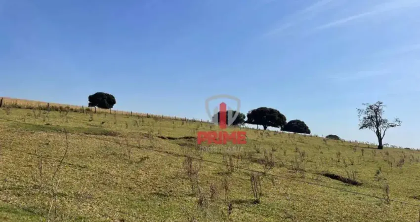 Fazenda à vista em Bela Vista do Paraíso no Paraná. Com 38 alqueires sendo 29 alqueires de plantio, 6Km do asfalto, casa nova, casa sede antiga, barra