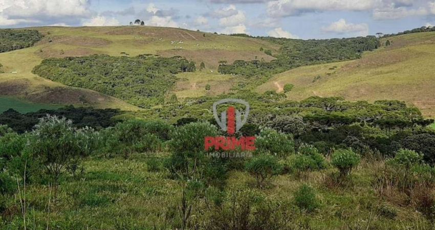 Fazenda à venda em Castro no Paraná. Com 169 alqueires sendo 90 alqueires pasto, 12 alqueires é de lavoura, mangueira , 2 casas, boa de água.  Fica a