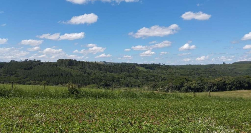 Fazenda à venda em Ortigueira no Paraná. Com 124 alqueires sendo 40 alqueires plantando, 40 alqueires tirando madeira, 20 km de Imbaú.  R$ 25.000.000,