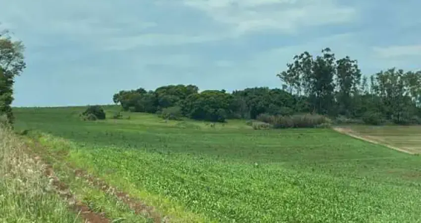 Sítio à venda na Warta região de Londrina no Paraná.  - Com 10 alqueires, sendo 5,5 alqueires plantando, 2,0 alqueires plantar, hoje em pasto.