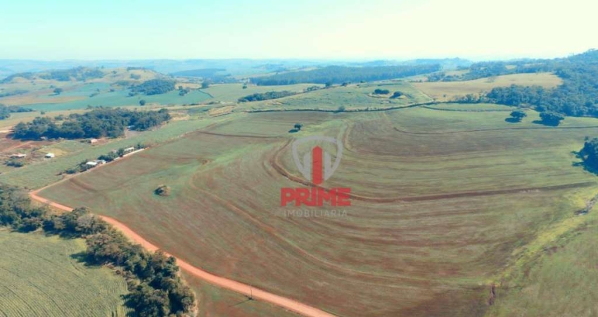 Fazenda à venda em Santo Antônio da Platina no Paraná.  - Com 57,20 alqueires sendo 48,00 alqueires
