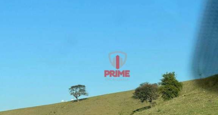 Fazenda à venda em Bandeirantes no Paraná.   - Com 98 alqueires,  formada no pasto