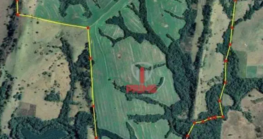 Fazenda à venda em Sapopema no Paraná. Com 101 alqueires plantando 60 chega a 75, 4km da cidade.   $150.000,00 o alqueire, 40% de entrada mais 2 pagam
