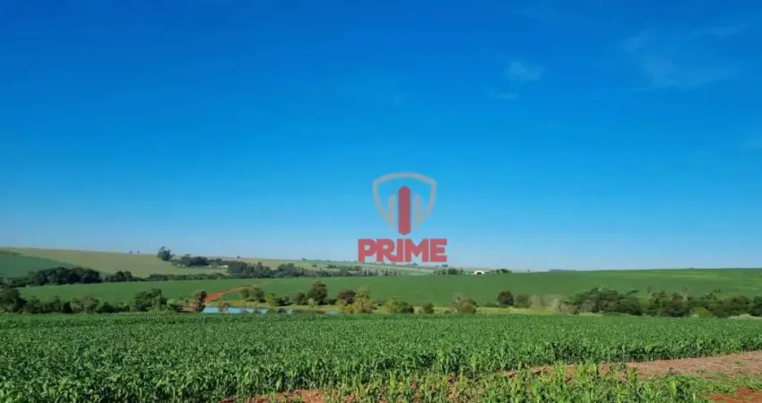 Fazenda à venda na Região de Maringá no Paraná. Com 100 alqueires, 90 alqueires de plantio, com benfeitorias, casa e barracão. 60 km de Londrina.  Val