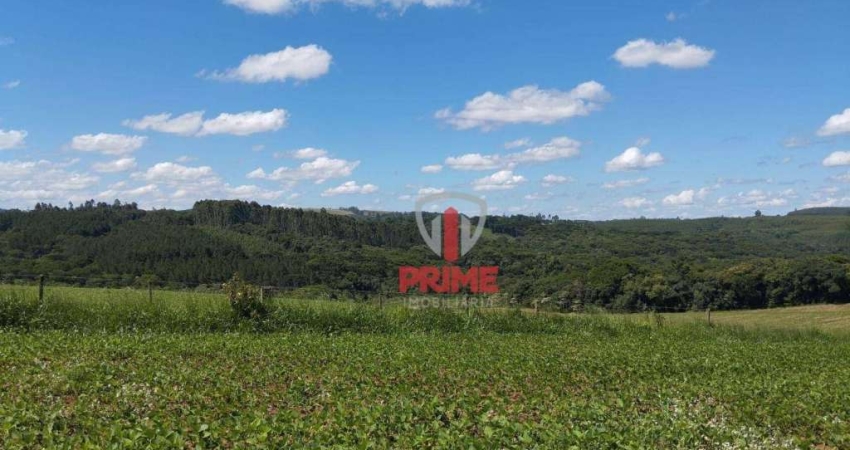 Fazenda à venda em Guaravera no Paraná. Com 108 alqueires  sendo 90 alqueires plantio .   3.500 sacas o alqueire.