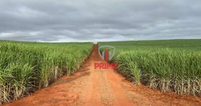 Fazenda à venda na Rodovia Pr-090, 2, Zona Rural, Porecatu