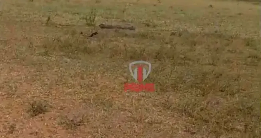 Fazenda à venda em Naviraí - MS.   - Com 100 alqueires, pecuária, toda no pasto,