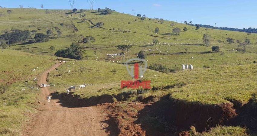Fazenda à venda, R$ 100.000,00 o alqueire sendo 288 alqueires em Laranjeiras do Sul no PR.