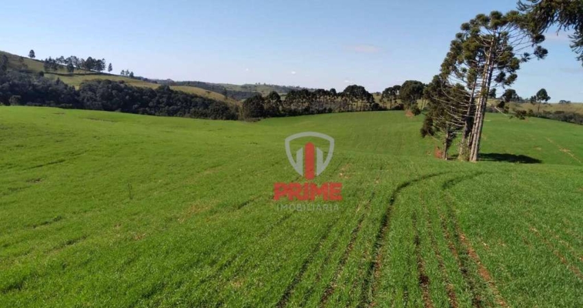 Fazenda à venda em Nova Laranjeiras, uma belíssima área de Terra para agricultura. - Com 42.5 alqueires, 33 alqueires de lavoura.