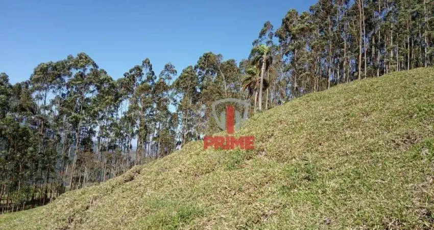 Sitio à venda em Ortigueira no PR. Com 15 alqueires, estrutura para gado, mangueira, casas, córrego na divisa e represas.  R$ 1.000.000,00 Aceita perm