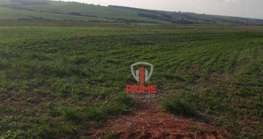 Fazenda à venda em Florestópolis no Paraná. Com 88 alqueires de plantio, sem perca. R$ 200.000,00 o alqueire. Entrada + 2 pagamentos.