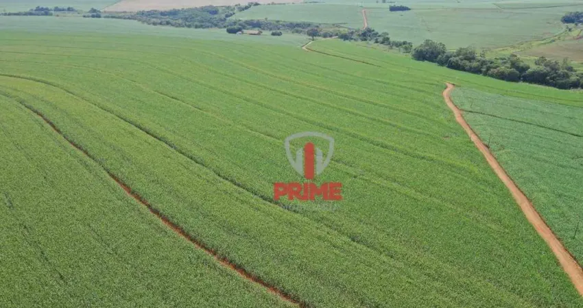 Fazenda à venda em Guaravera no Paraná.   - Com 80.75 alqueires sendo 60 alqueires de plantio.