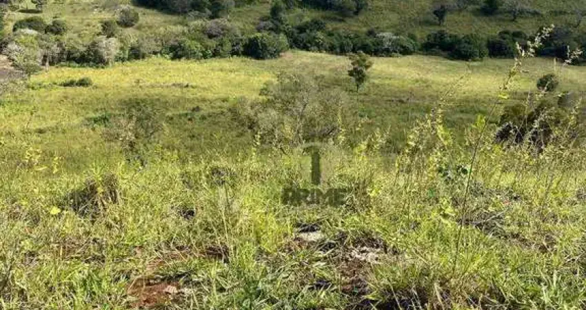Sítio à venda em Bela Vista do Paraíso no Paraná. Com 17 alqueires em pasto com mangueira, todo cercado nas divisas e rico em água.