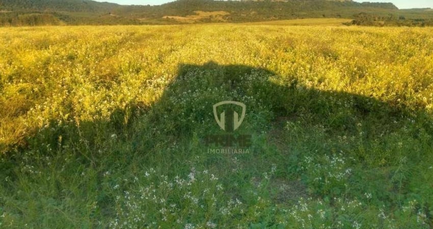Fazenda à venda na região de Reserva no Paraná.   - Com 55 alqueires sendo 40 alqueires de plantio, abre mais 3 alqueires.