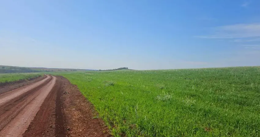 Fazenda à venda em Cornélio Procópio no Paraná.   - Com 105 alqueires, 85 plantado, 2 alqueires de horta, 3 alqueires pasto.