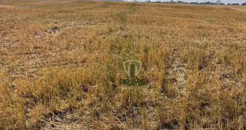 Área urbana e rural à venda no Distrito de San Martin em Rolândia no Paraná.   - Com 3 alqueires, 100% regularizado como urbano, 2 km da cidade e na B